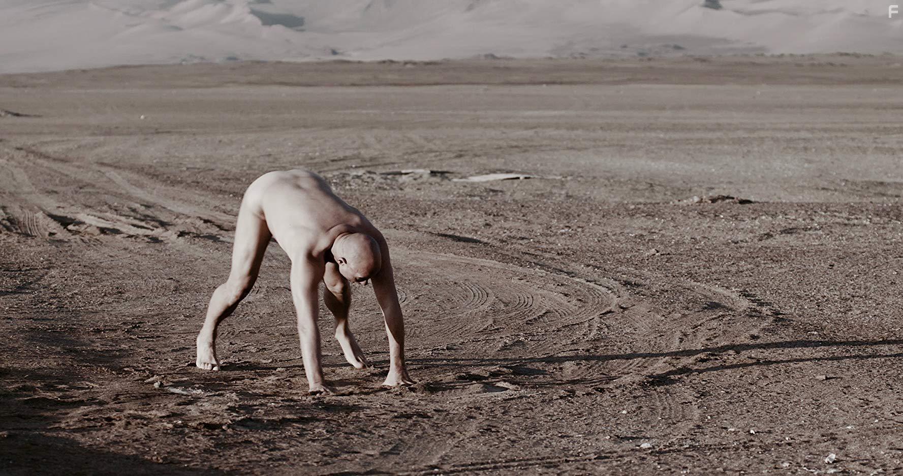 Лек и собаки