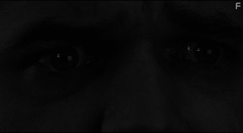 Голова-ластик (1977)