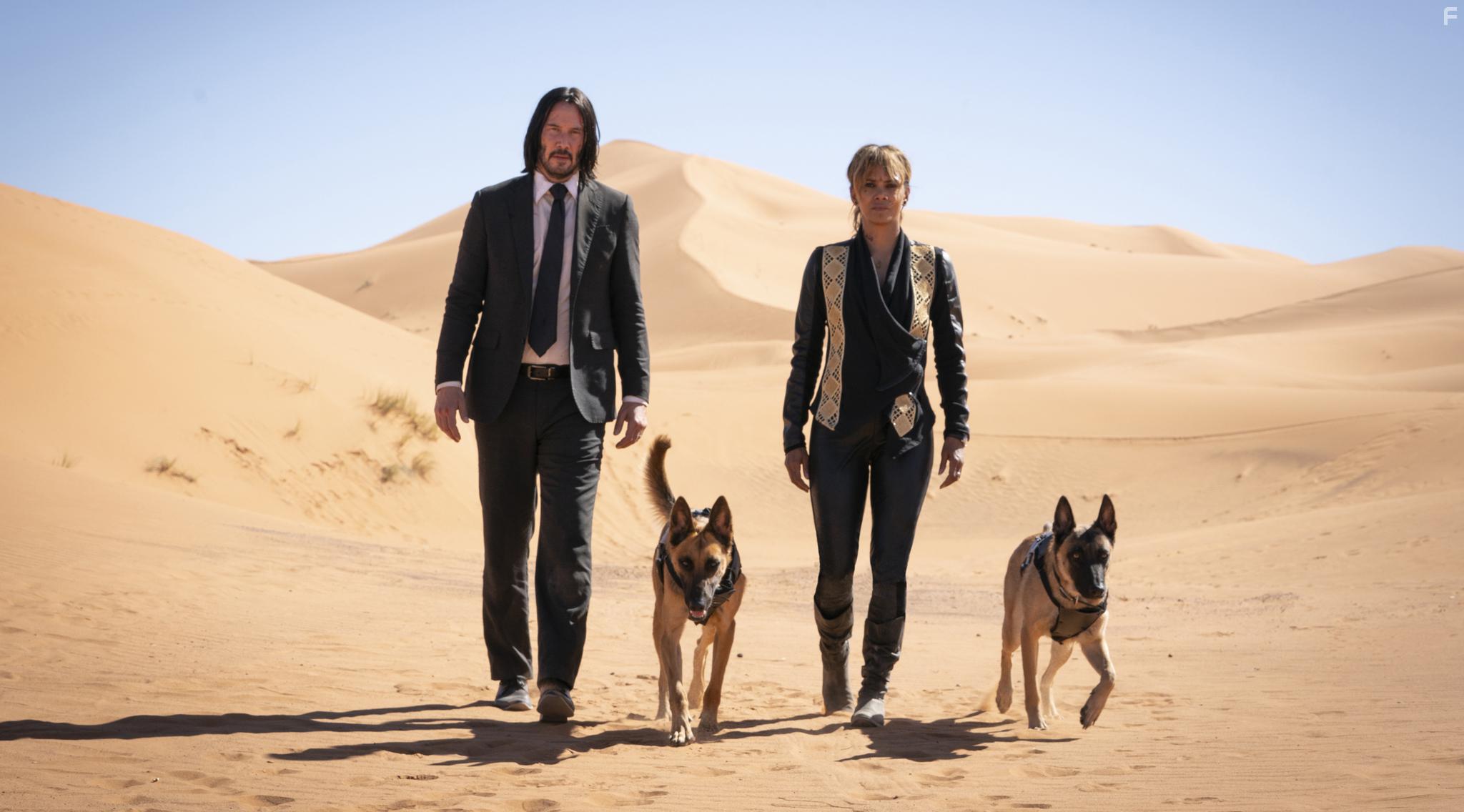 Keanu Reeves and Halle Berry in John Wick: Chapter 3 - Parabellum (2019)