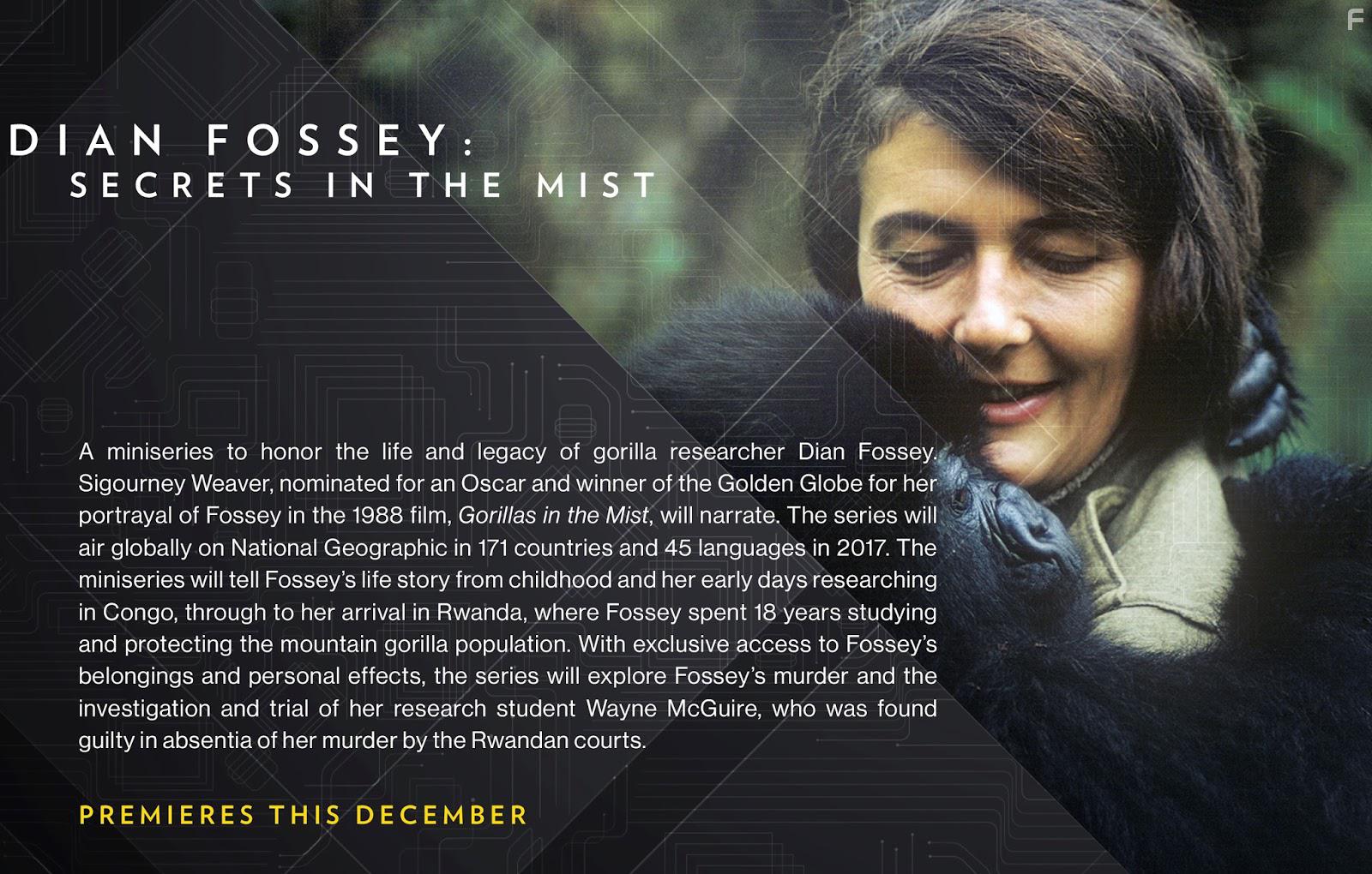 Дайан Фосси: Секреты в тумане