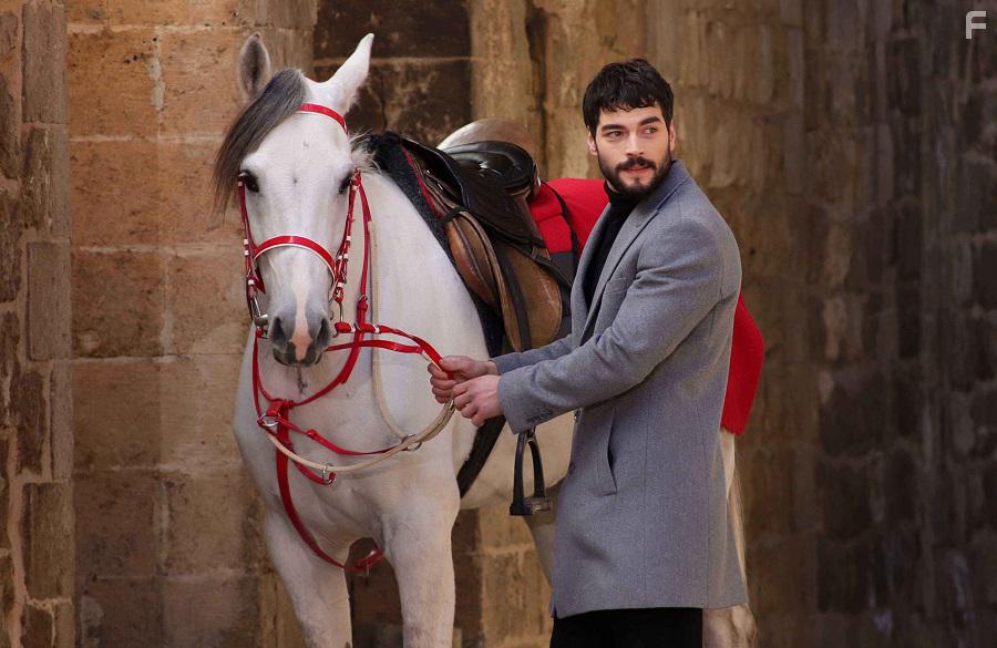 Akin Akinz in Hercai (2019)