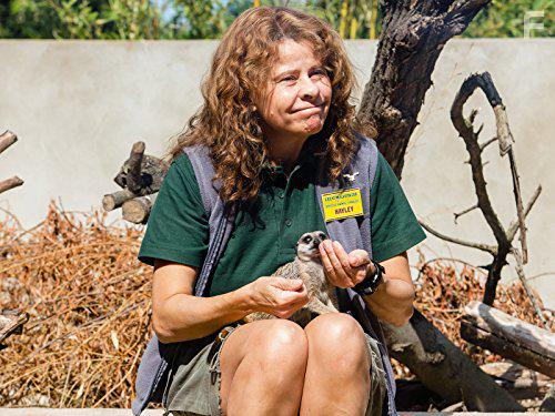 Tracey Ullman's Show (2016)