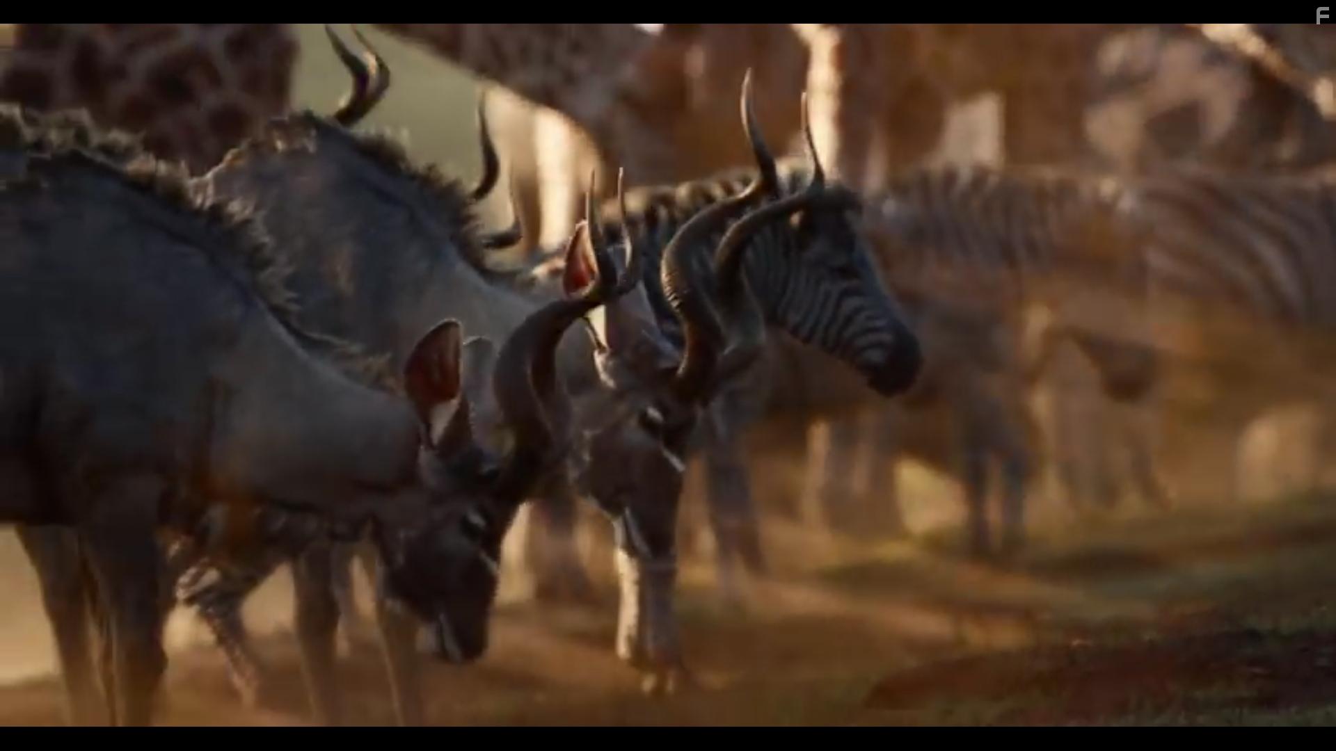 The Lion King (2019)