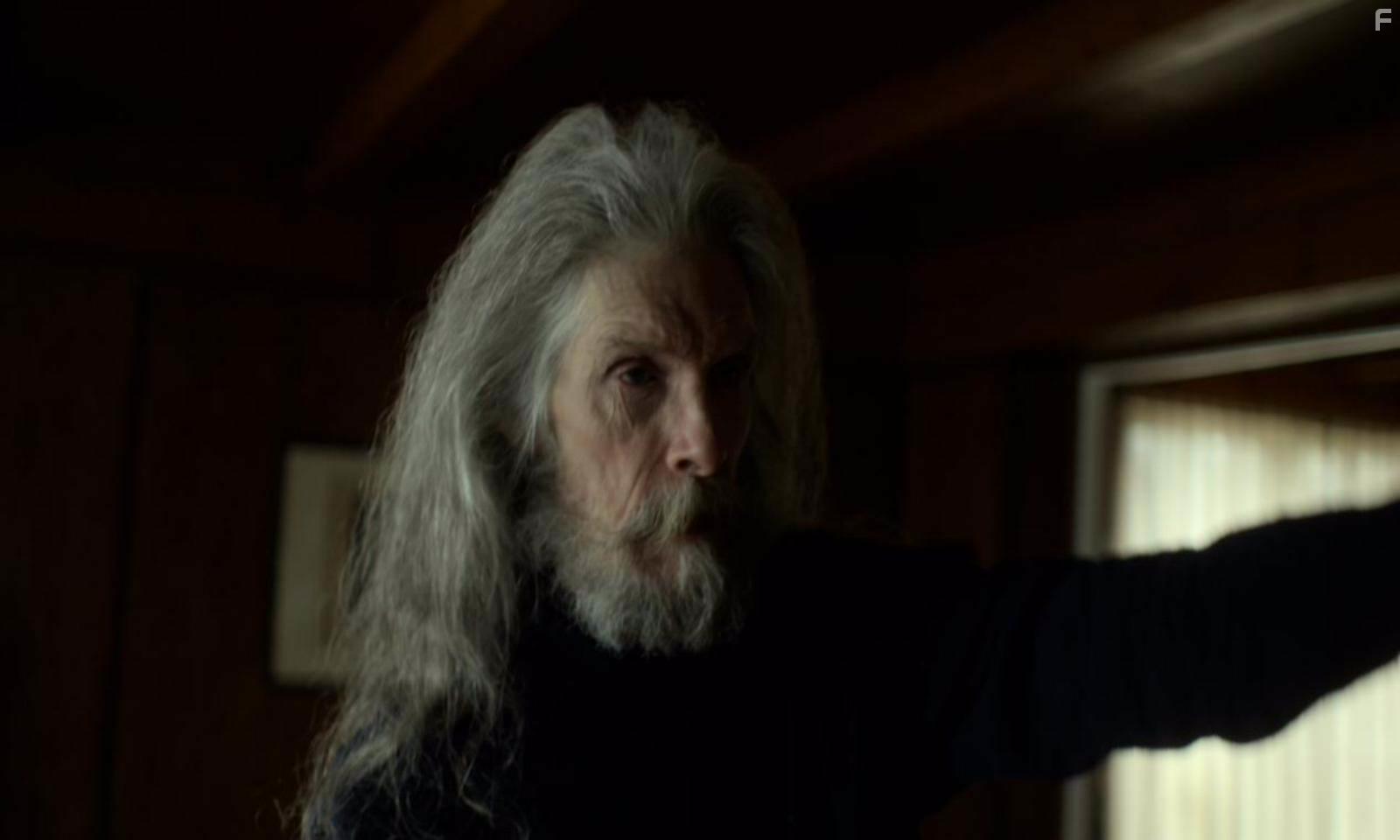 Bjrn Andrsen in Shelley (2016)