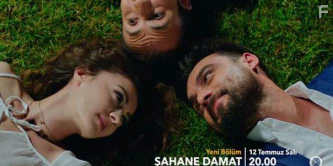 Замечательный зять