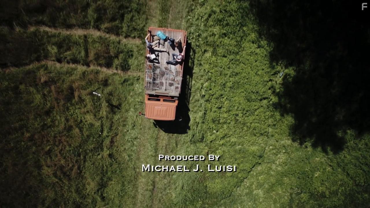 Leprechaun: Origins (2014)