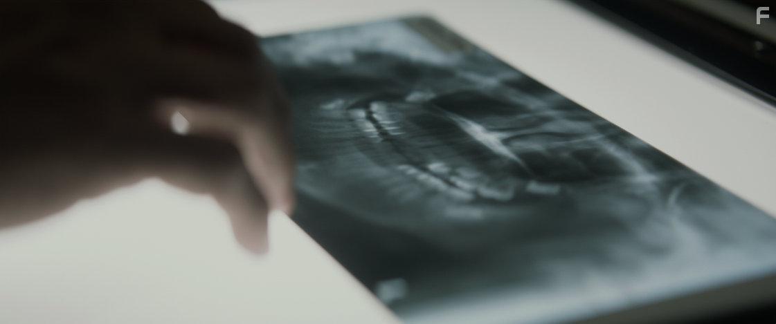 Smaller and Smaller Circles (2017)