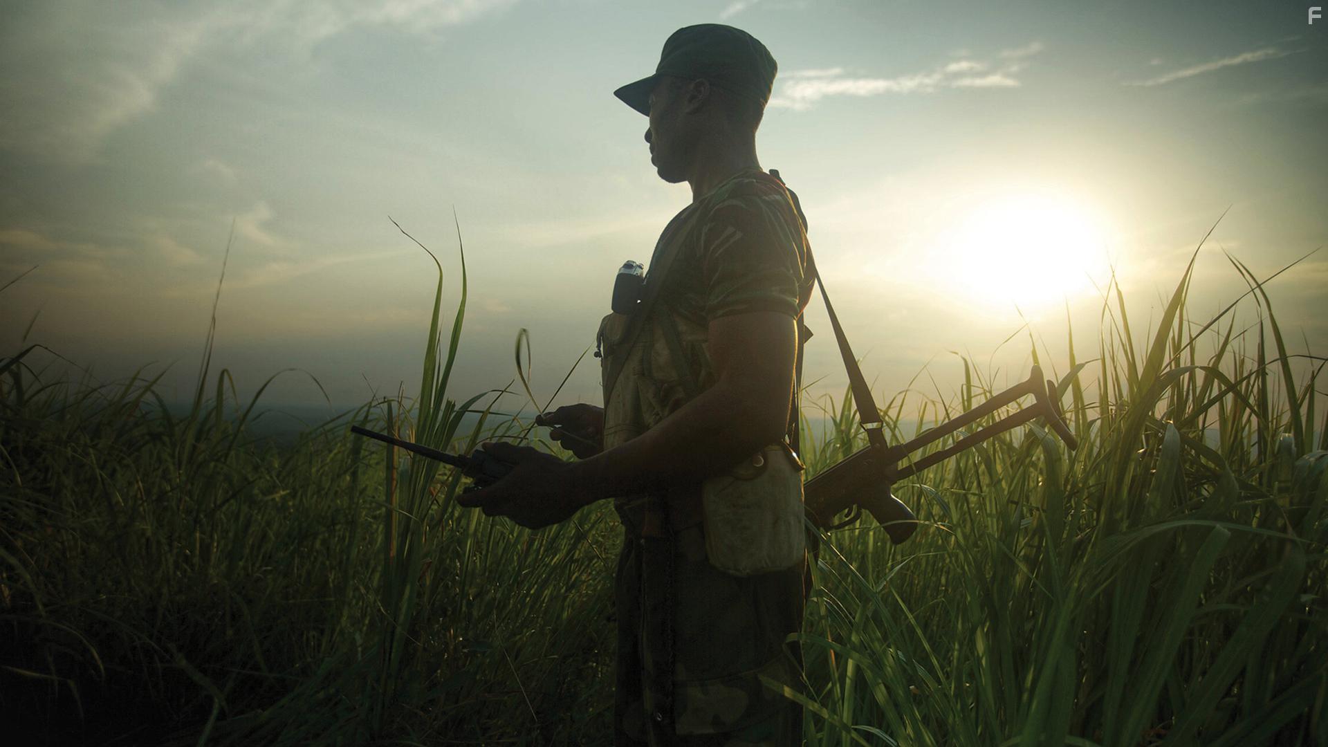 The Last Animals (2017)