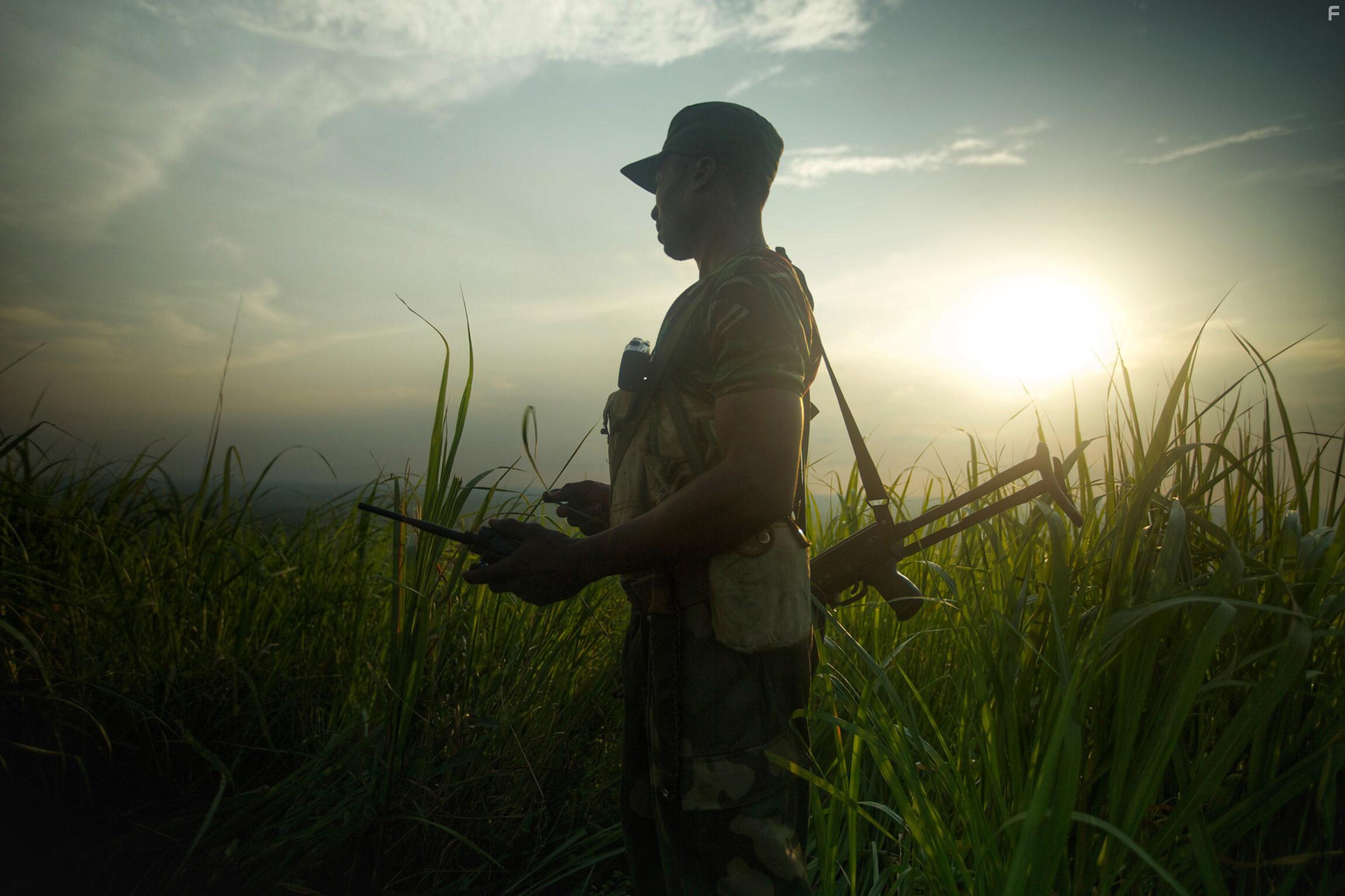 The Last Animals (2017)