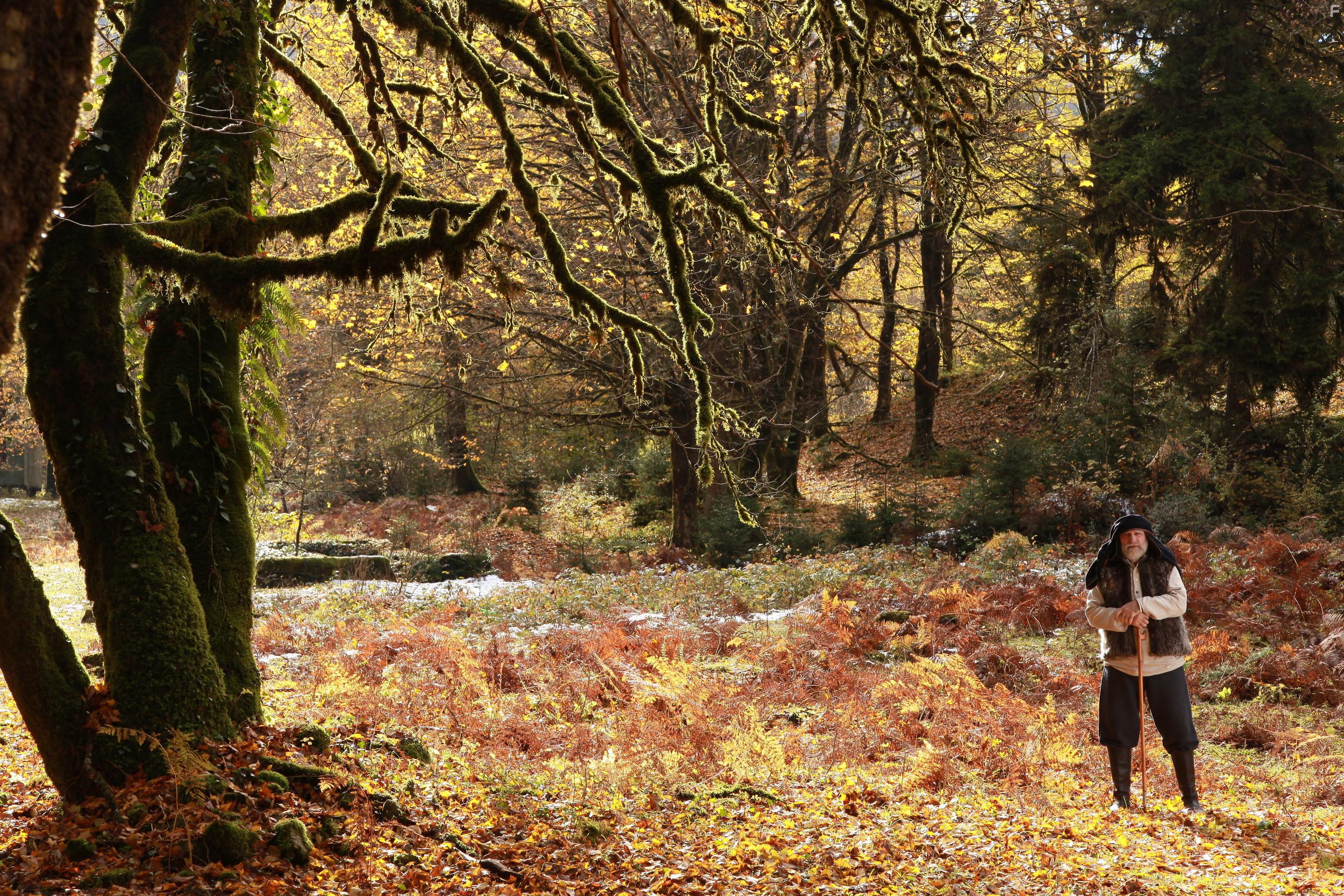 Спасибо деду за победу #7