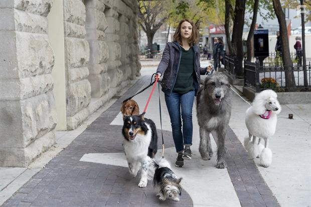 A Dog's Journey (2019)