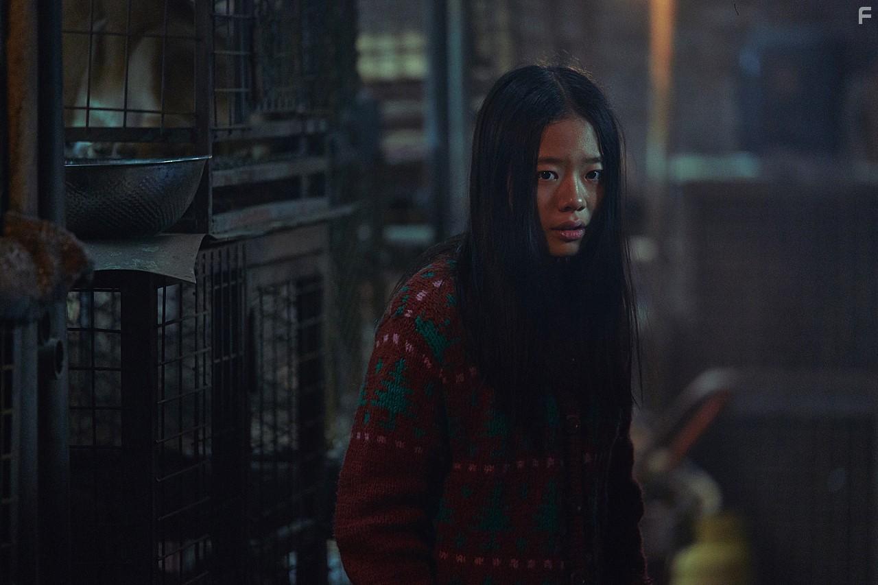 Svaha: The Sixth Finger (2019)