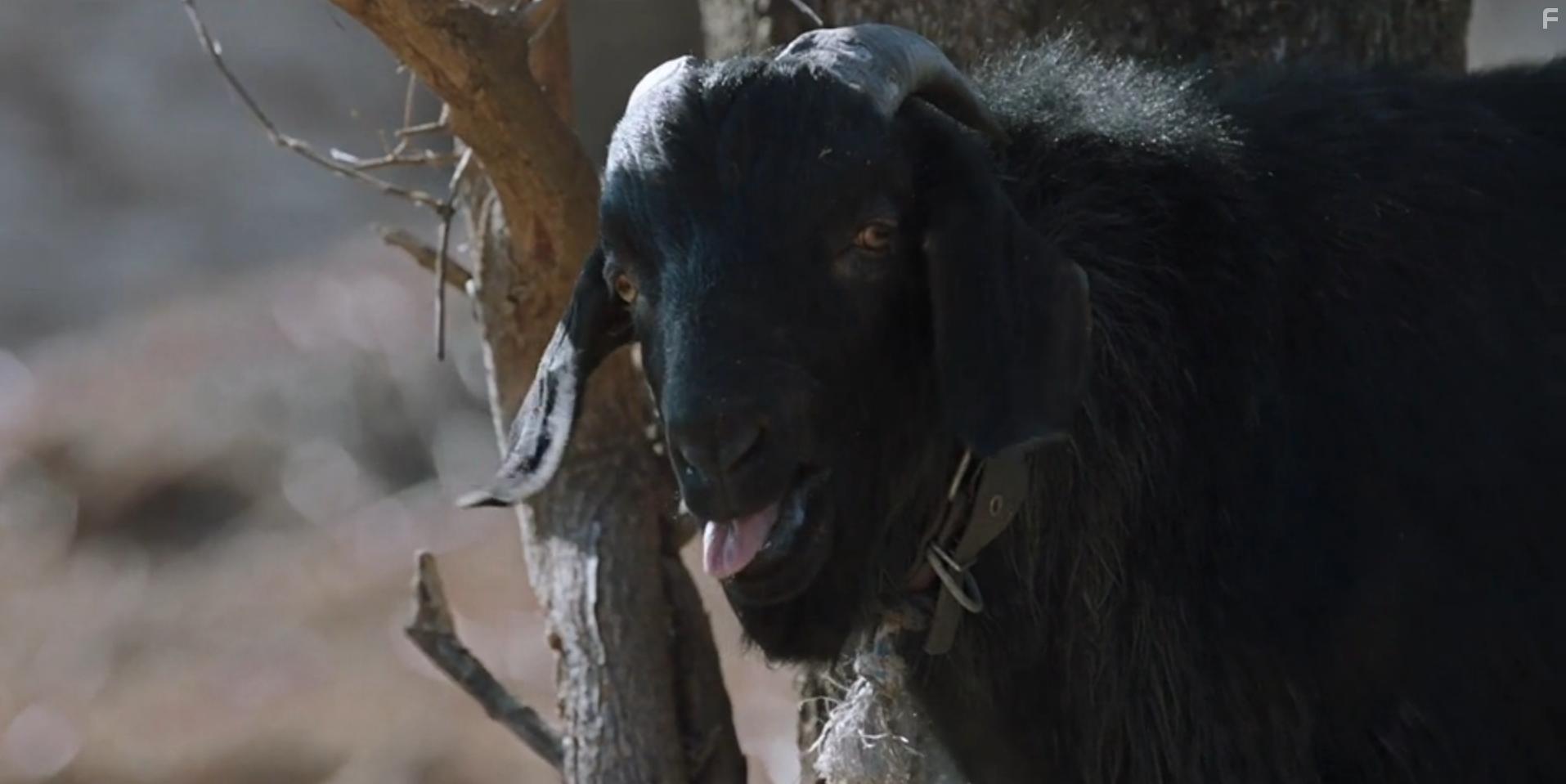 Svaha: The Sixth Finger (2019)