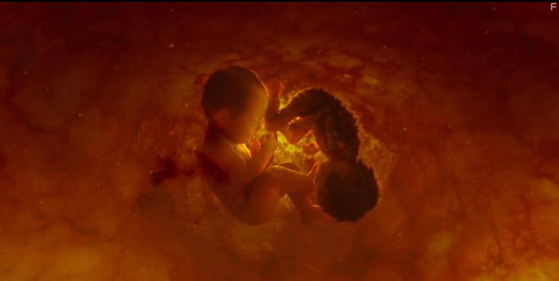 Svaha: The Sixth Finger (2019)