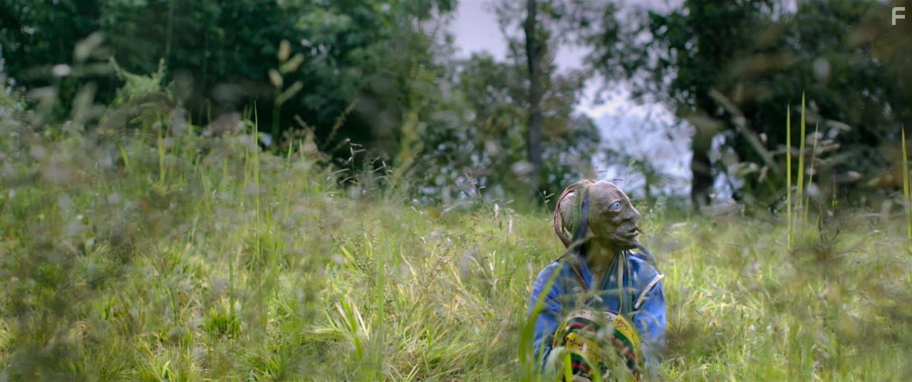 Hema Hema: Sing Me a Song While I Wait (2016)