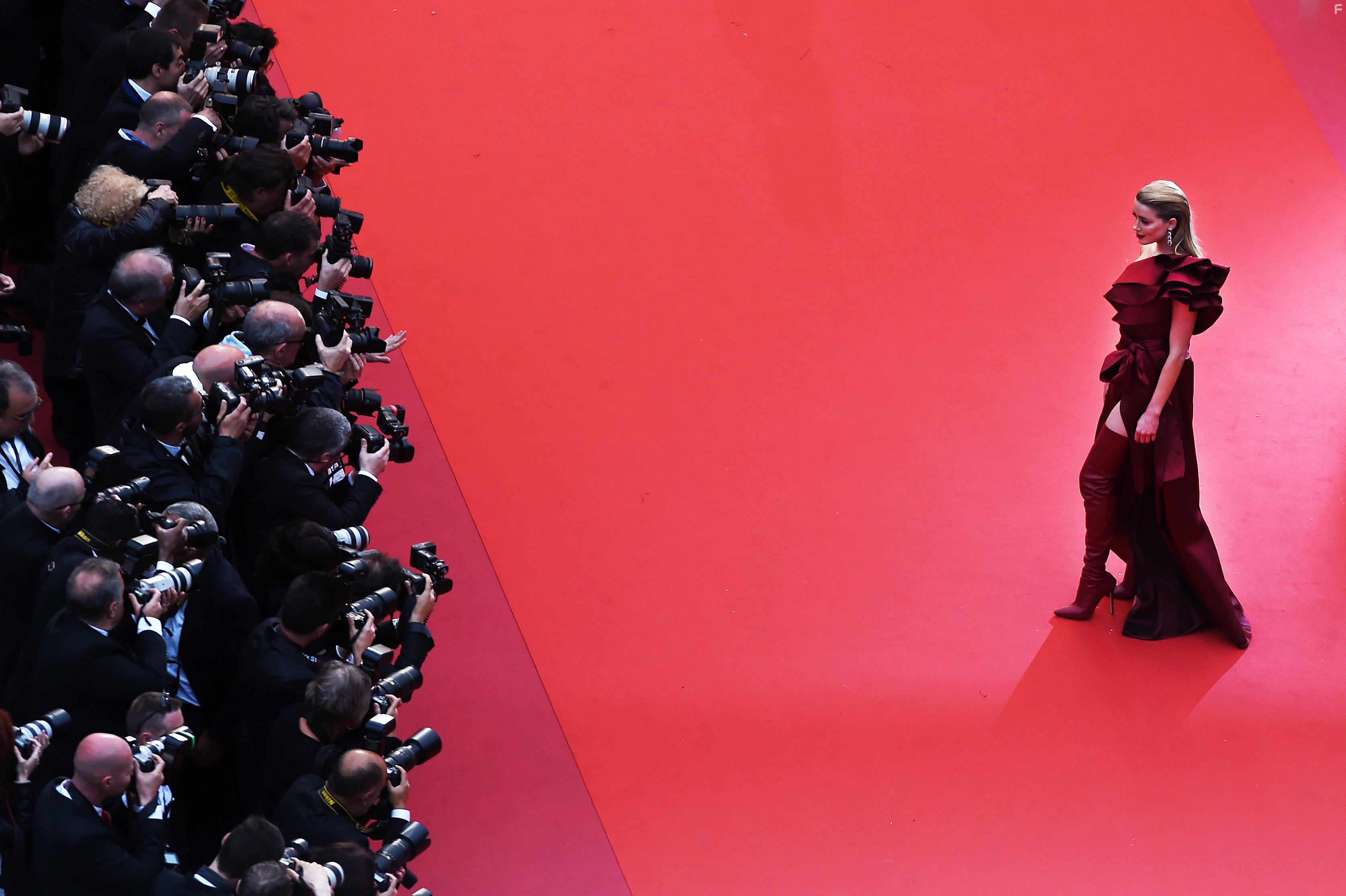 Amber Heard at an event for Dolor y gloria (2019)