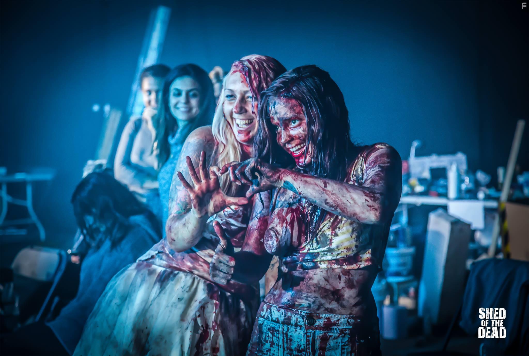 Shed of the Dead (2019)