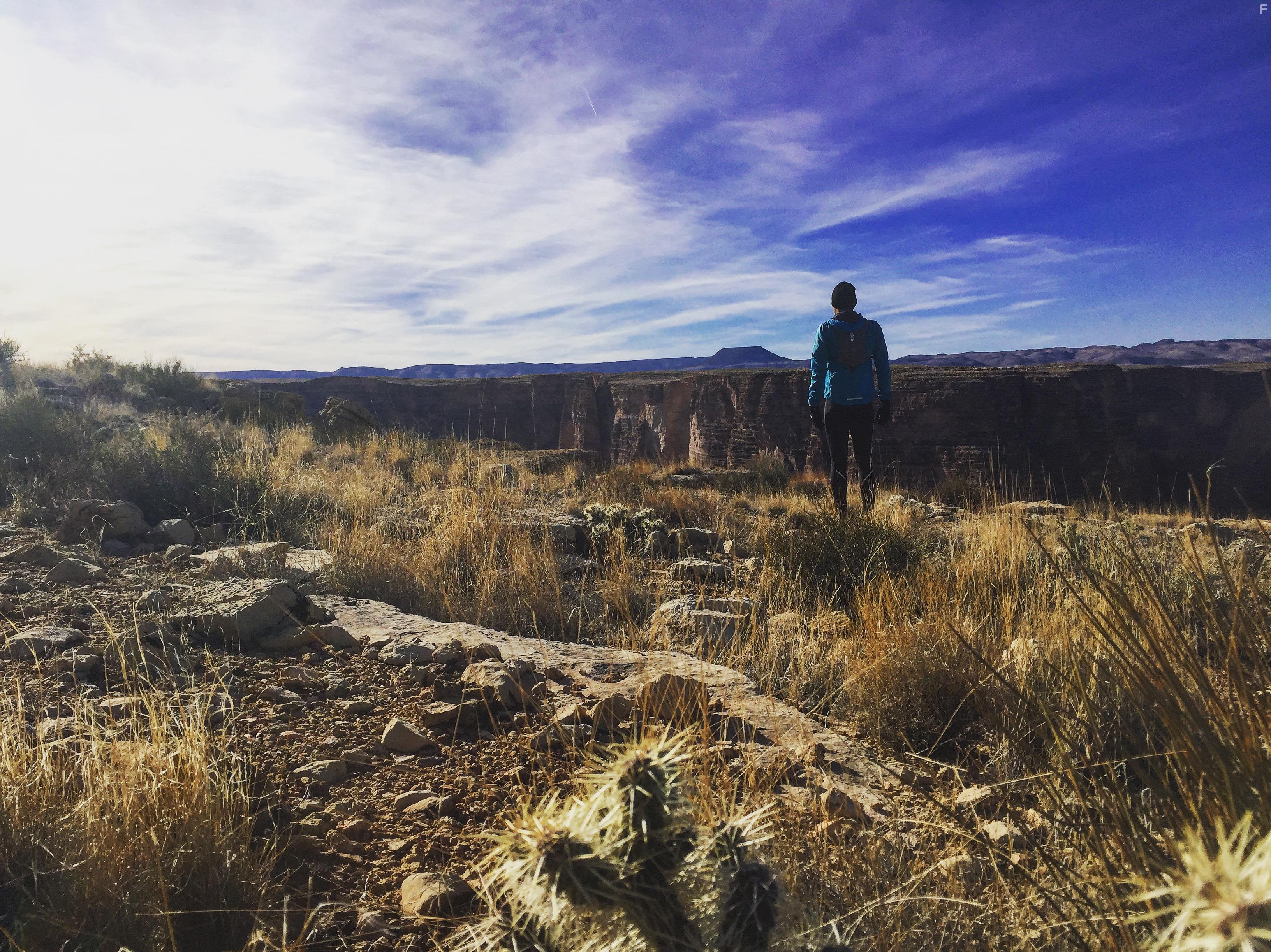 3100: Run and Become (2018)