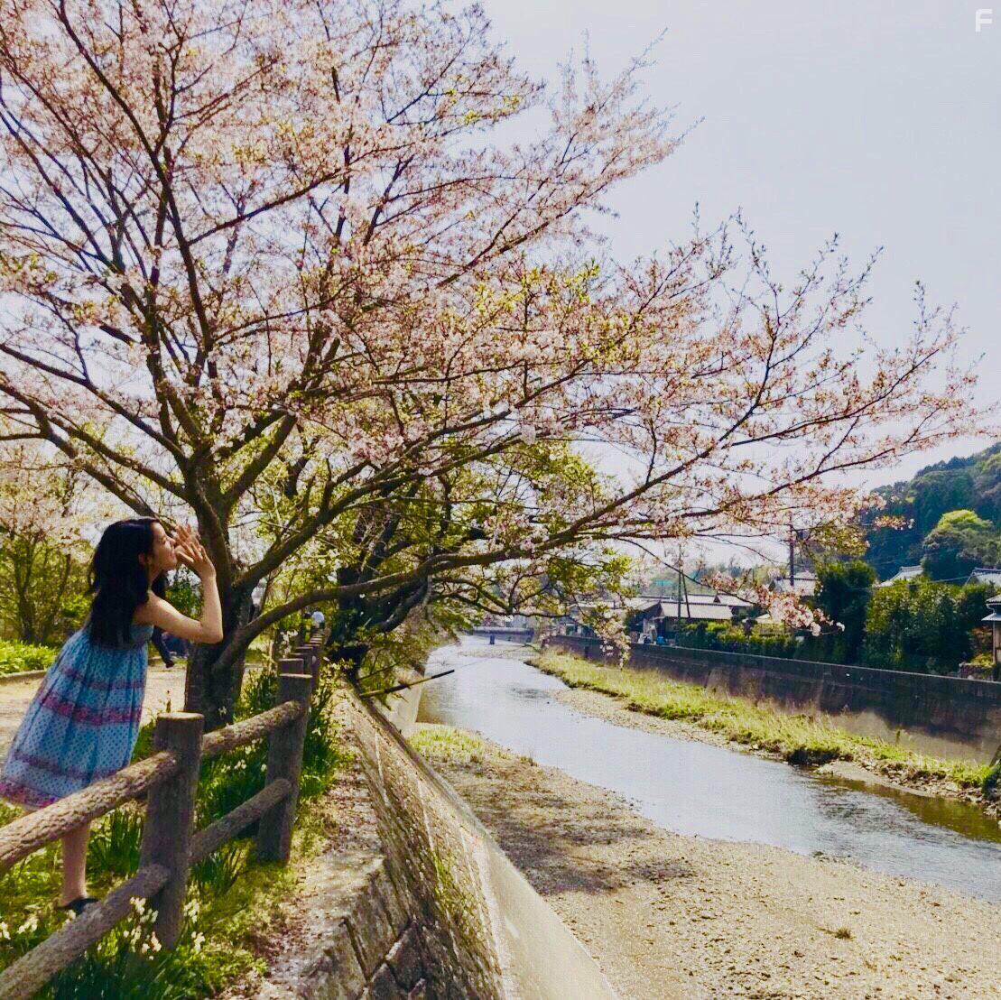 Ao-Natsu: Kimi ni Koi Shita 30-Nichi (2018)