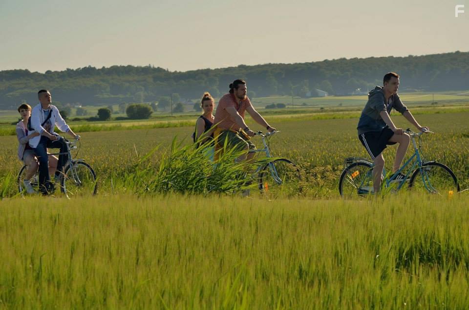 Клубничные поля