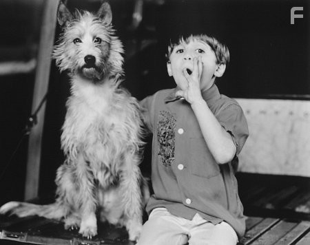 Seth Mumy in Три желания (1995)