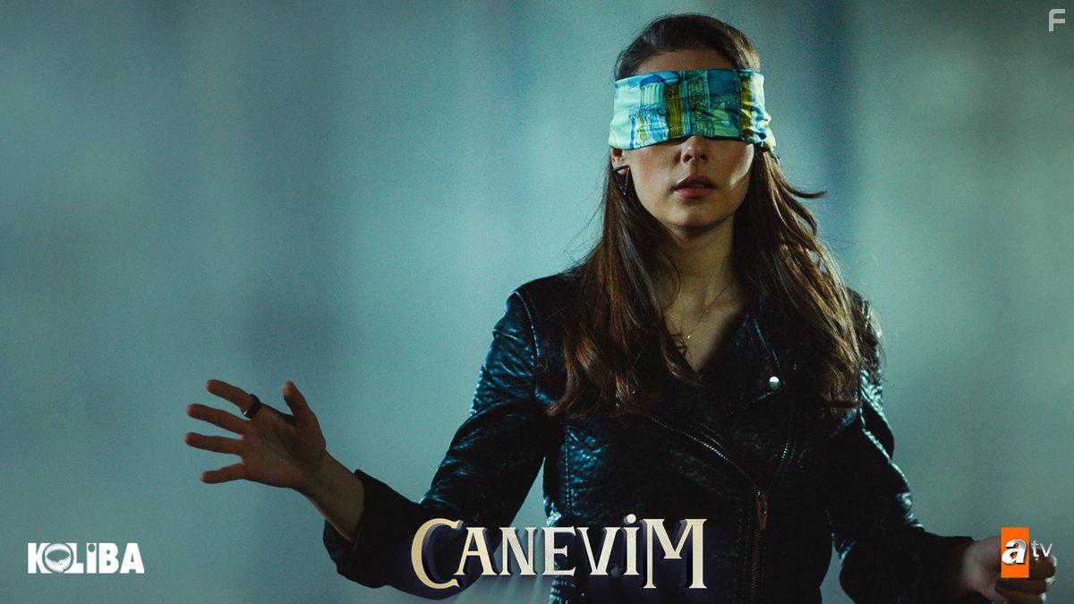Canevim (2019)