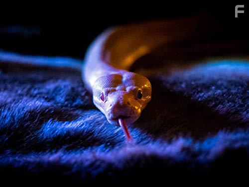 Too Old to Die Young (2019)