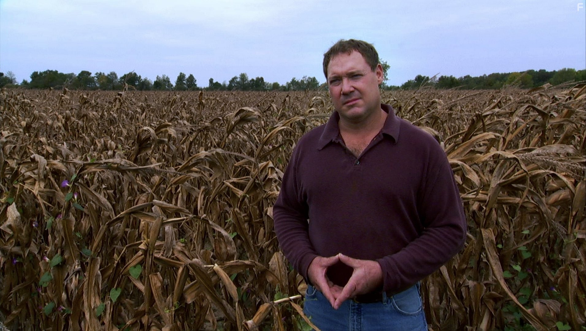 Корпорация 'Еда' (2008)