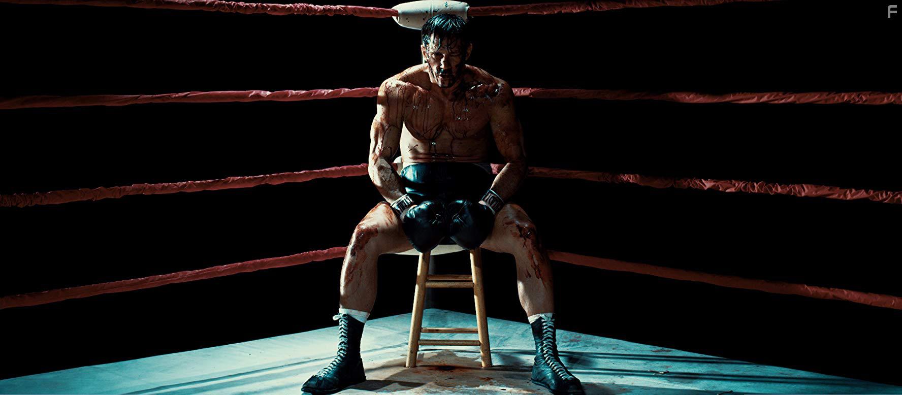 В полном расцвете