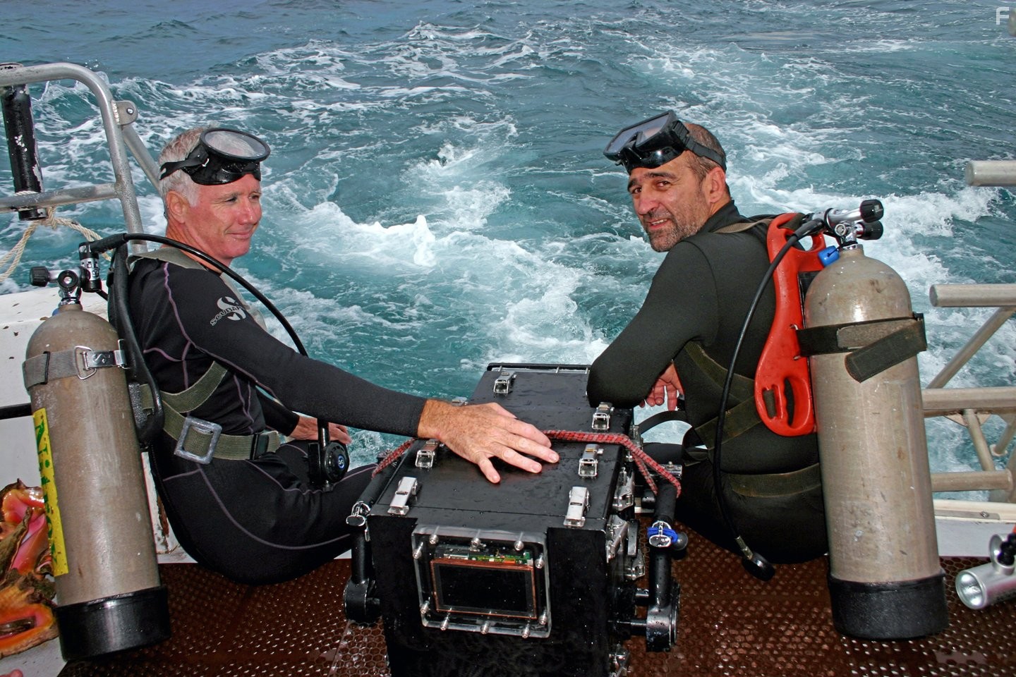 Dolphins and Whales 3D: Tribes of the Ocean (2008)