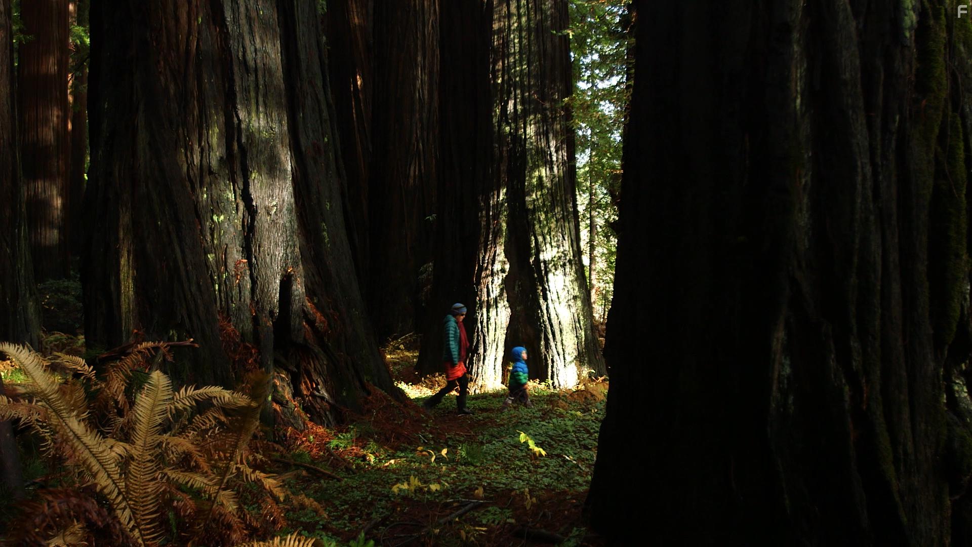 The Far Green Country (2018)