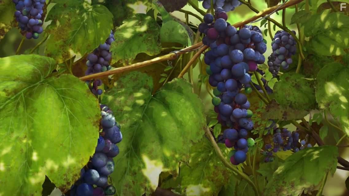 Доктор Стоун