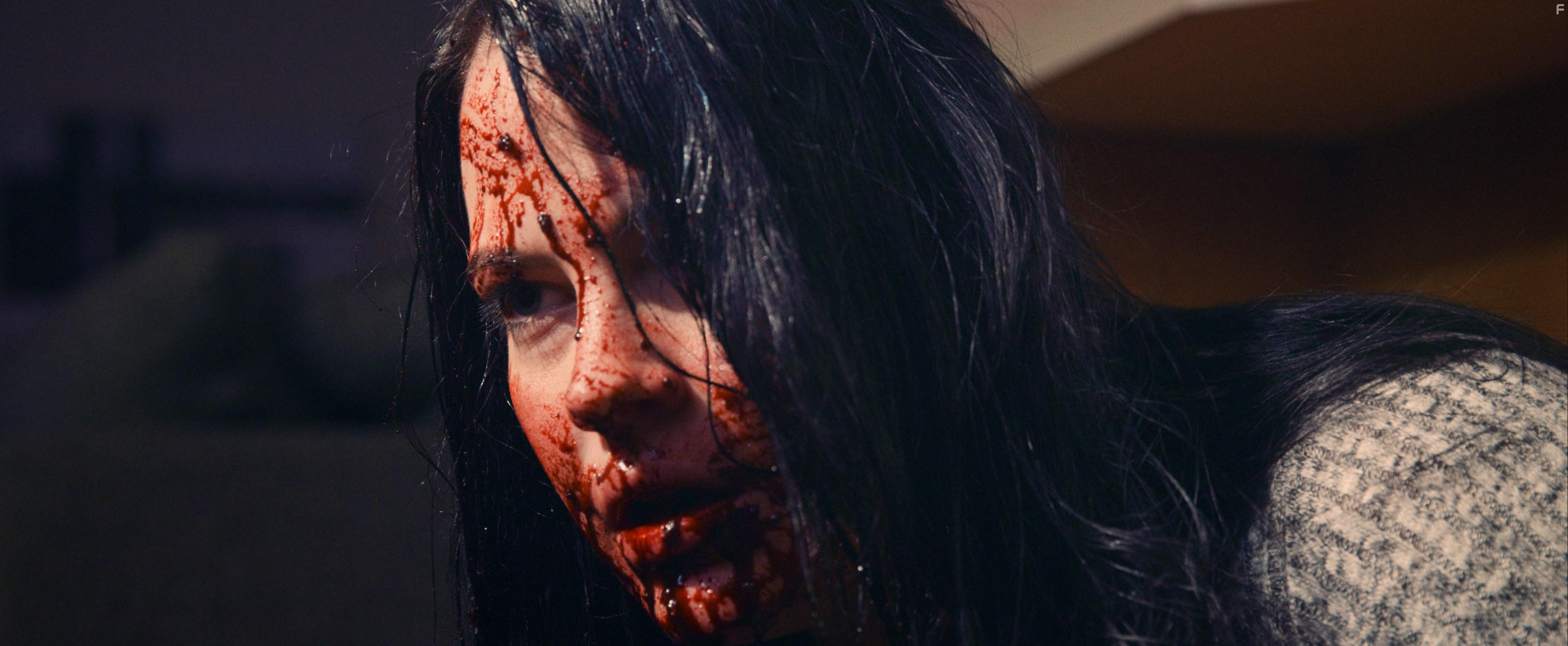 Death on Scenic Drive (2017)