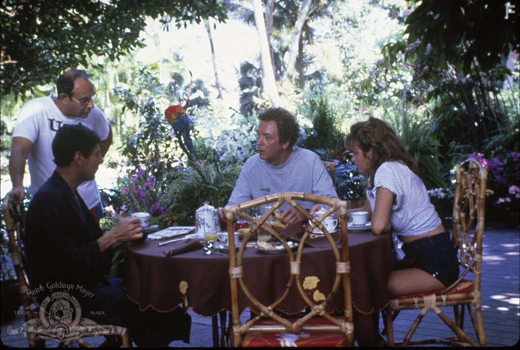 Во всем виноват Рио