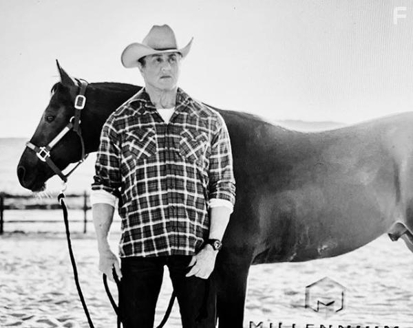 Sylvester Stallone in Rambo: Last Blood (2019)