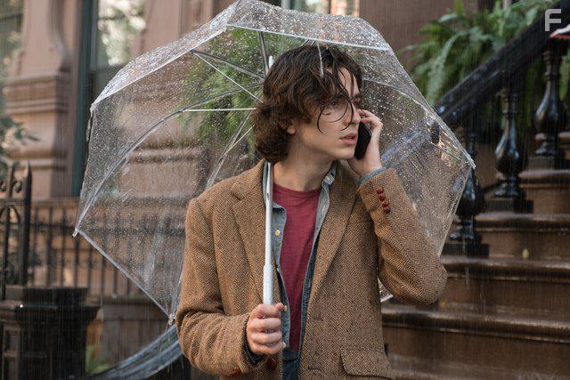 Timothe Chalamet in A Rainy Day in New York (2019)