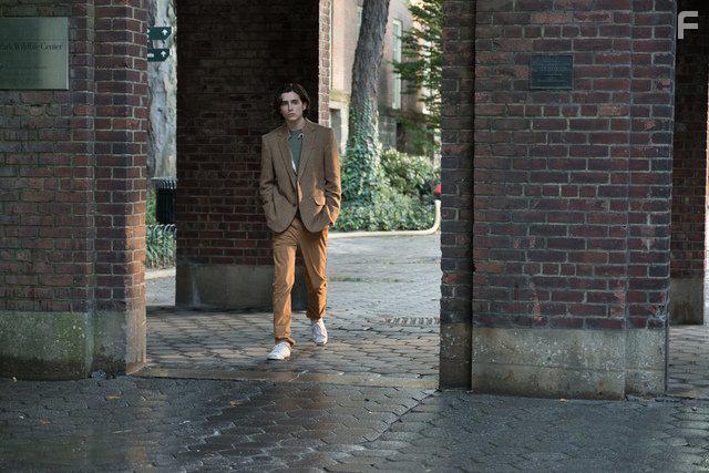 Timothe Chalamet in A Rainy Day in New York (2019)