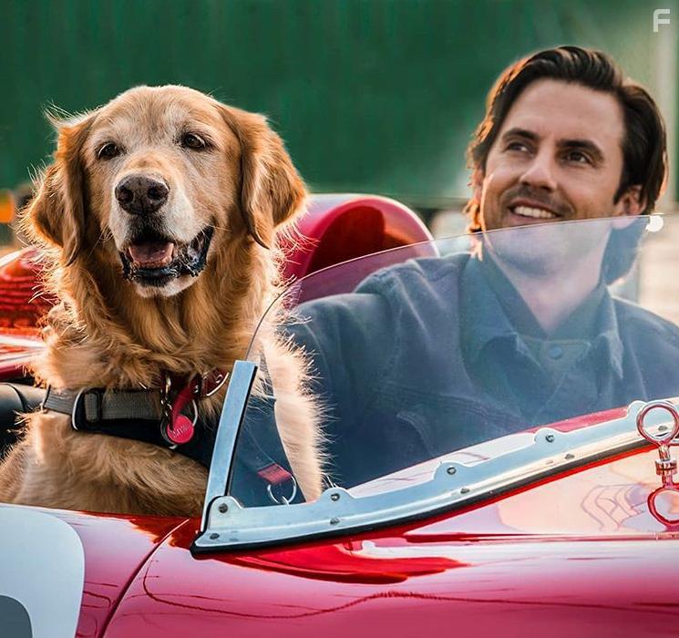 Milo Ventimiglia in The Art of Racing in the Rain (2019)