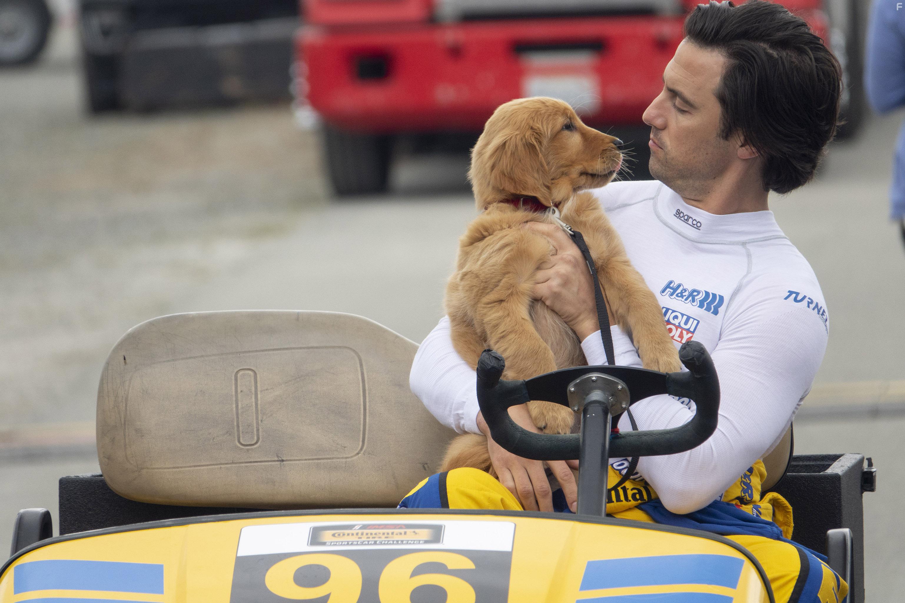 Milo Ventimiglia in The Art of Racing in the Rain (2019)