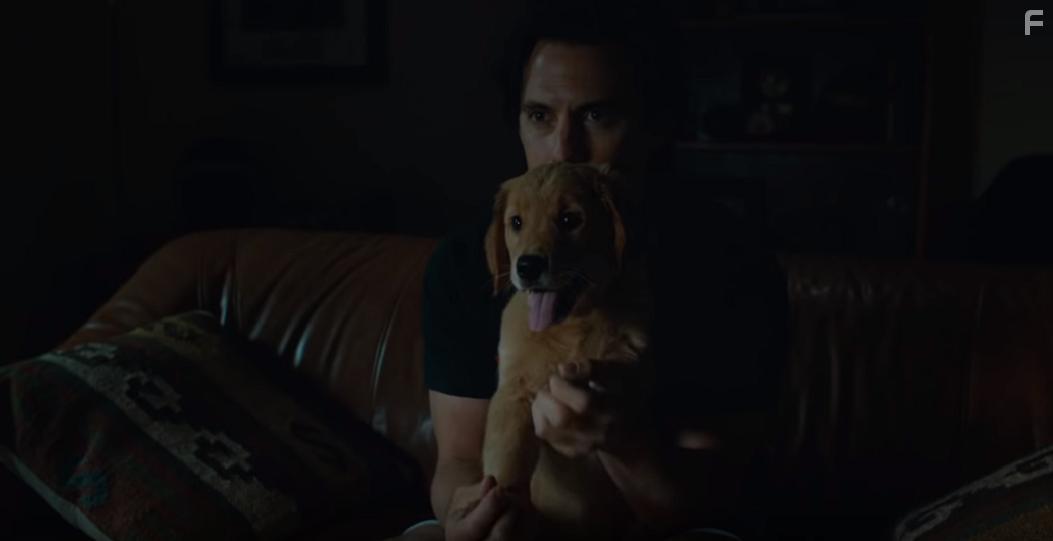 Milo Ventimiglia in The Art of Racing in the Rain (2019)