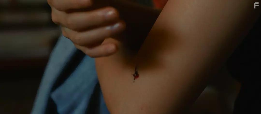 Kabocha to mayonaise (2017)