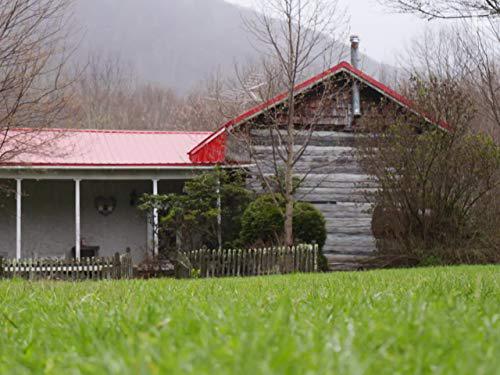 Log Cabin Fever (2016)