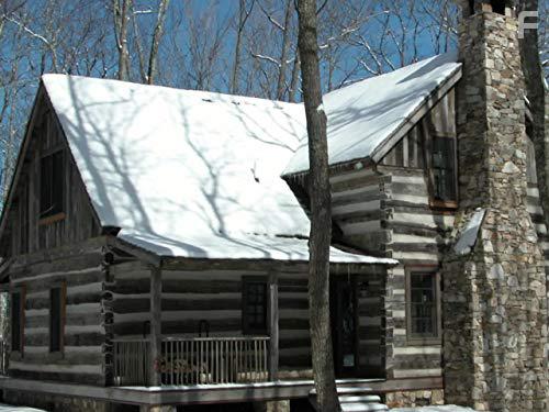 Log Cabin Fever (2016)