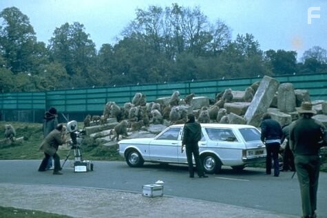 Filming the baboon attack