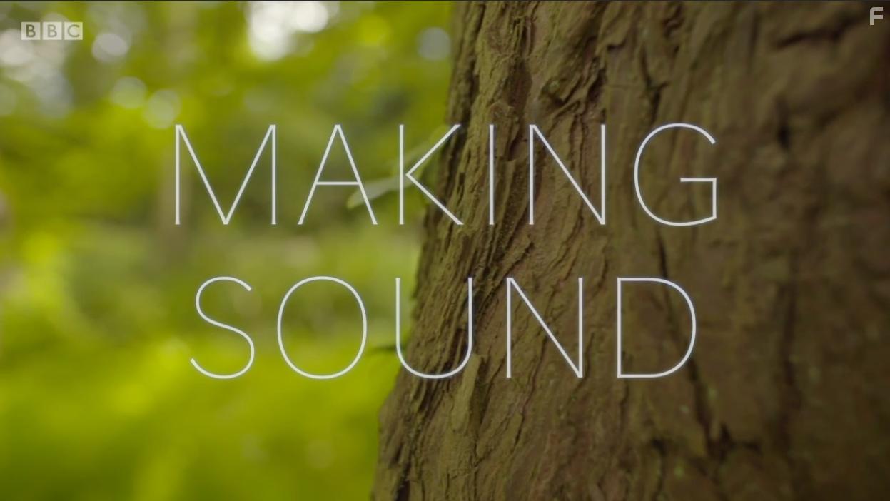 Sound Waves: The Symphony of Physics (2017)