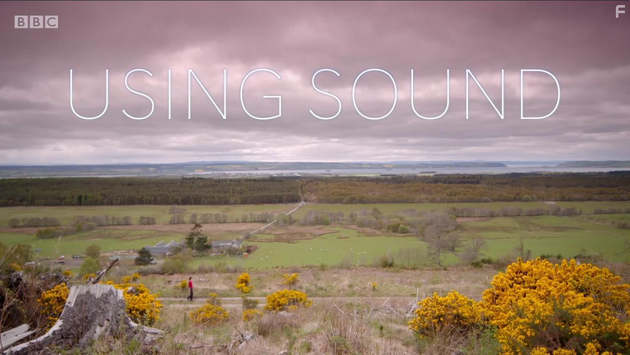 Sound Waves: The Symphony of Physics (2017)