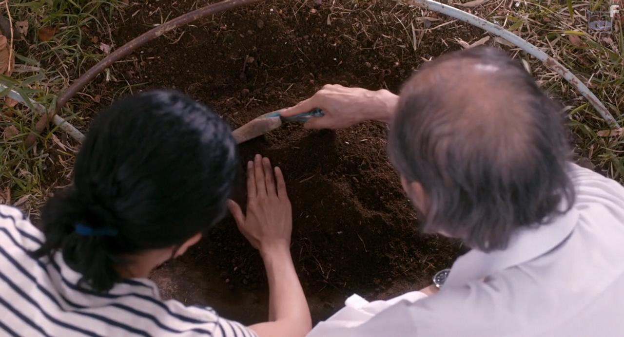 Ie ni kaeru to tsuma ga kanarazu shinda furi o shite imasu. (2018)