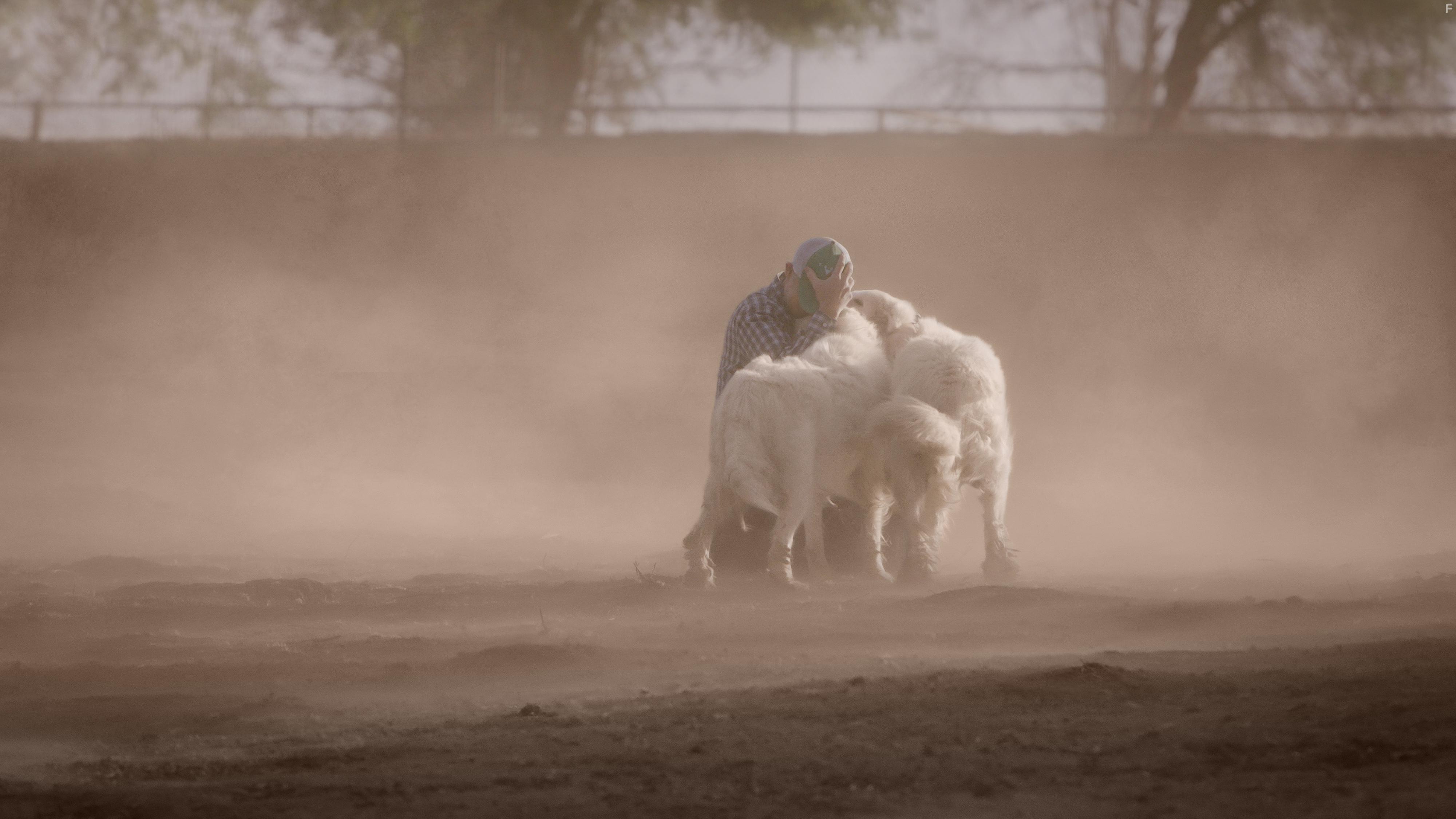 John Chester in The Biggest Little Farm (2018)