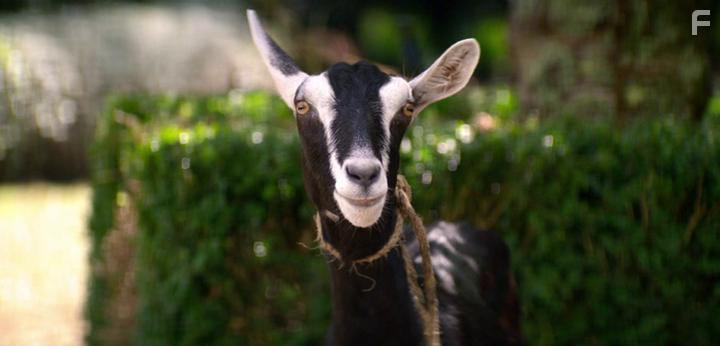 Annabel in Falling Inn Love (2019)