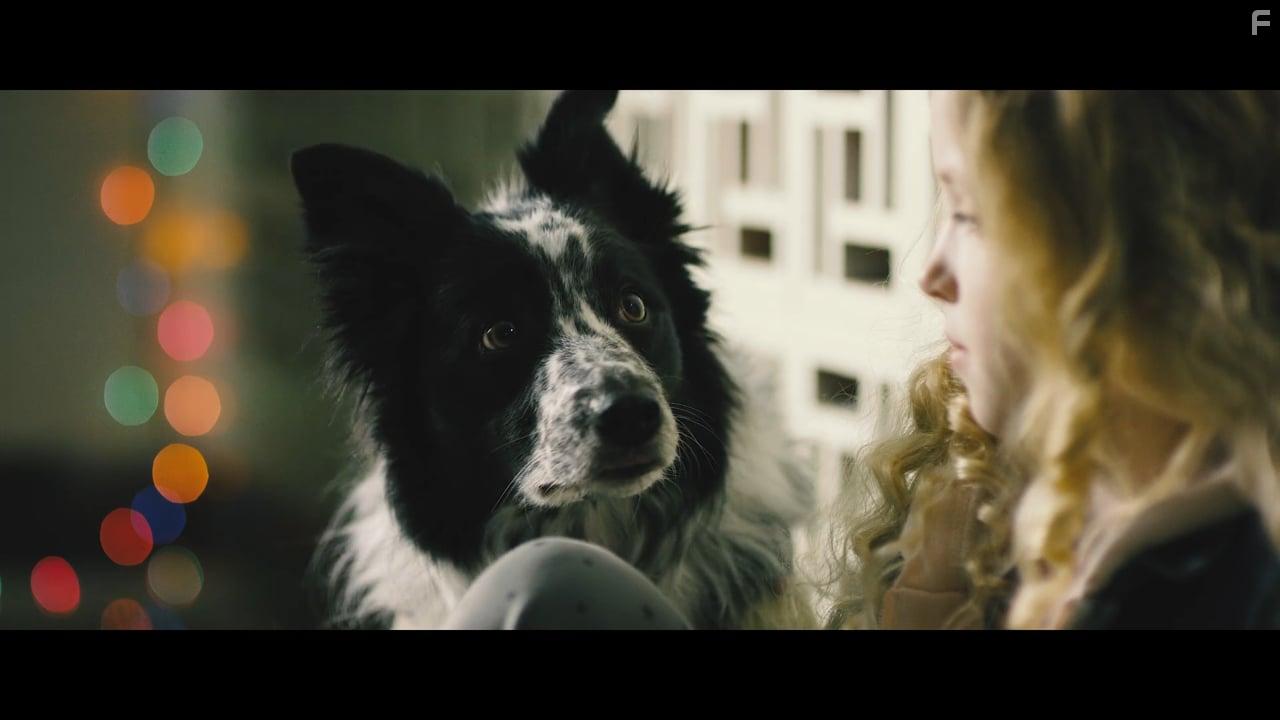 Рождественское ограбление #6